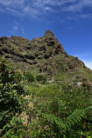 Bosque de Laureles - Tenerife Canaries 2006
